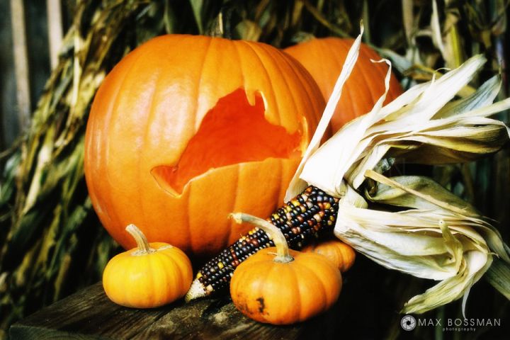 Handcrafted Martha&#039;s Vineyard pumpkin at the Morning Glory Farm